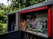 Rodent and Insect Damage Inside Whole-House Generators